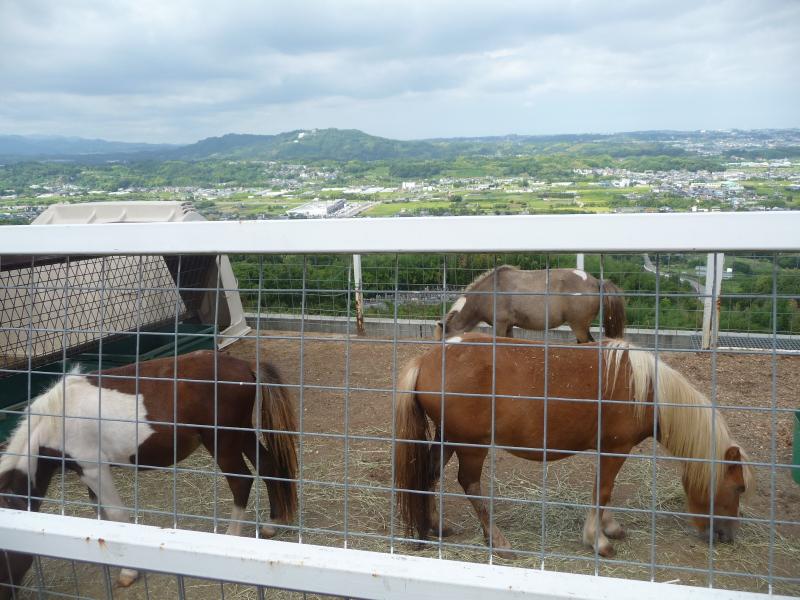 ワールド牧場のイメージ
