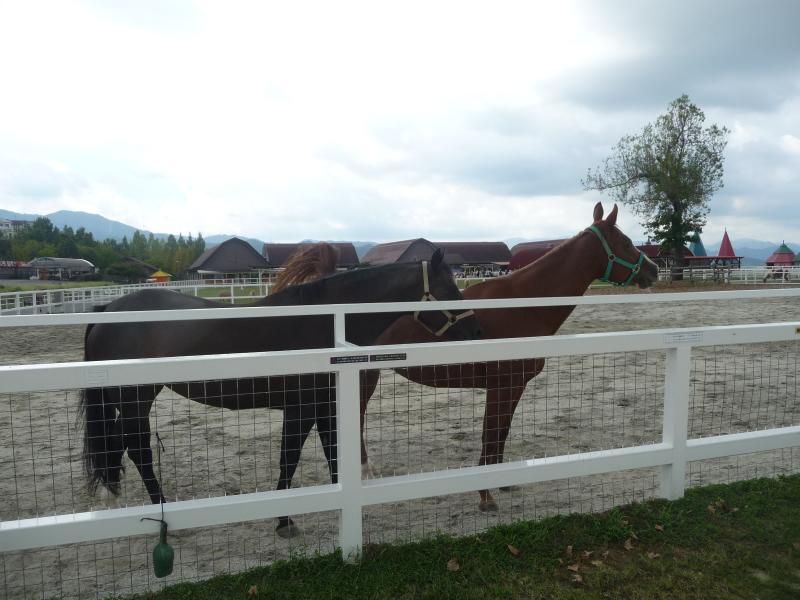 ワールド牧場のイメージ